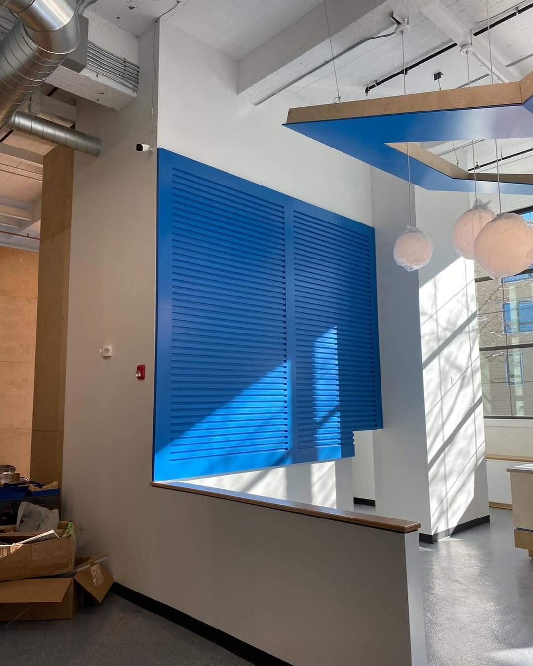 SaveClip.App_456198093_1169573264305235_6722131812540901352_n